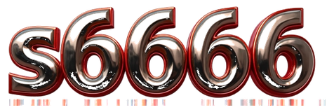 s66666 logo
